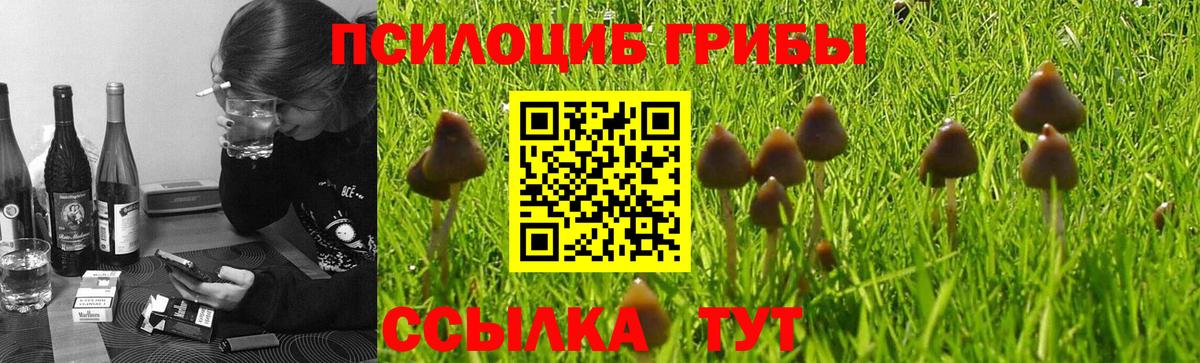 Москва  Псилоцибиновые грибы Psilocybine cubensis  Псилоцибиновые грибы ЛСД  Вход с VPN 